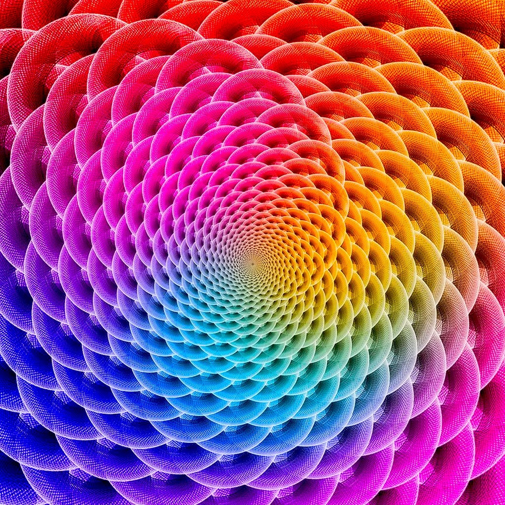 Friday Meditation